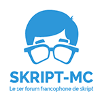 Logo de notre partenaire Skript-MC
